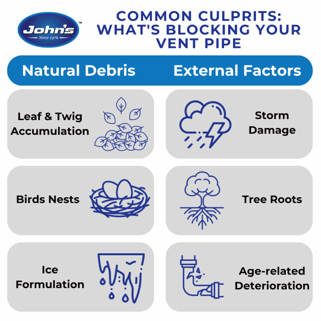 Common Culprits: What Is Blocking Your Vent Pipe Infographic
