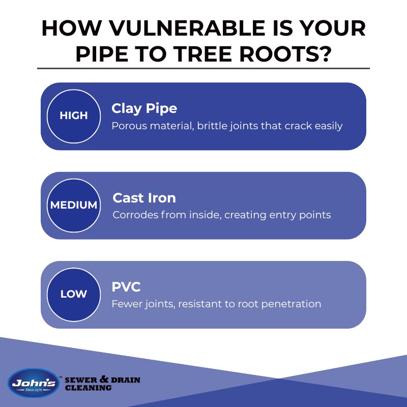 infographic on types of pipes and how vulnerable they are to tree roots